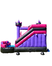 IMG 2673 1772515592 Pink & Purple Wet Dry Combo