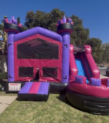 Pink & Purple Wet Dry Combo